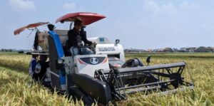 images – 2025-04-30T033200.645 images – 2025-04-30T033200.645